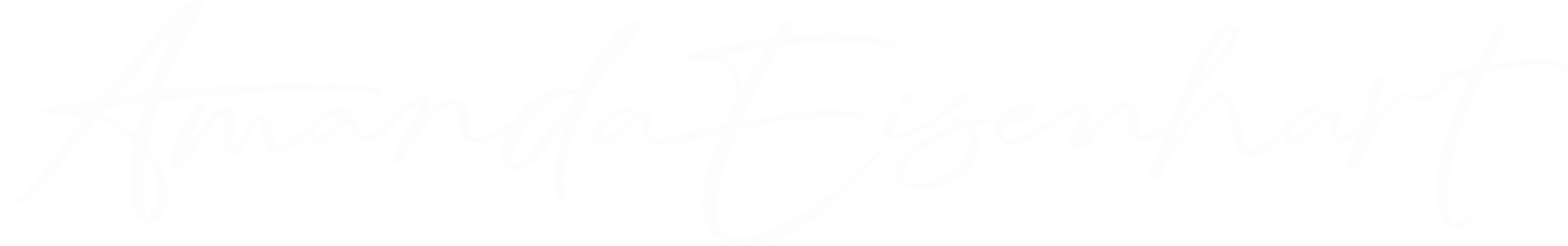 LOGO_Amanda Eisenhart_WHT